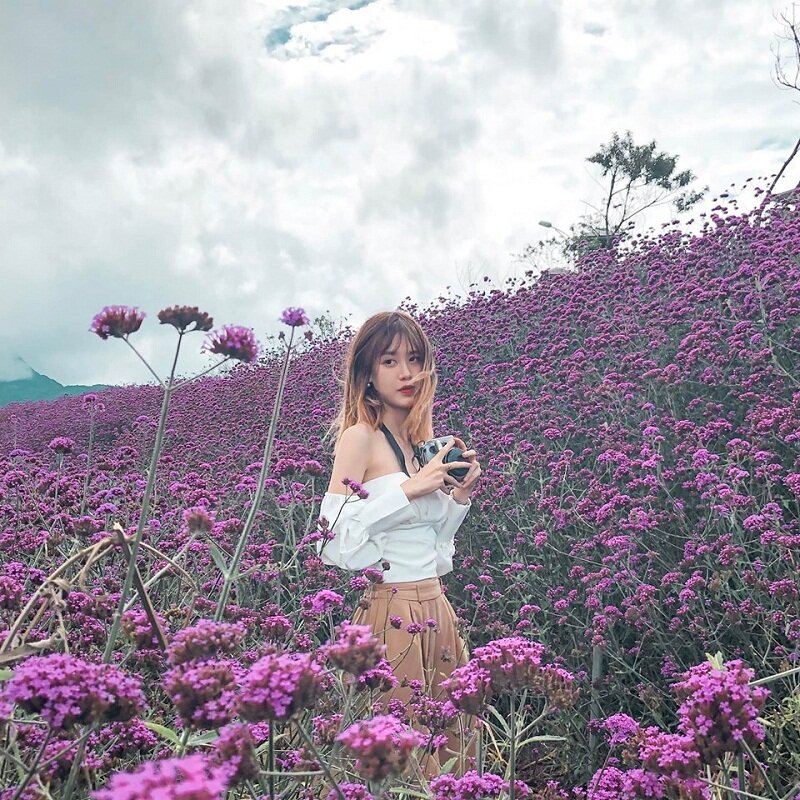 đi du lịch sapa